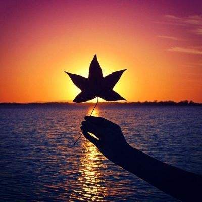 金沙集团186CC下载手机版