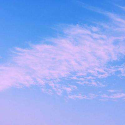 风云体育官方APP网址截图